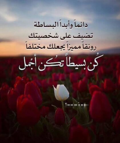 fb img 1763361511027