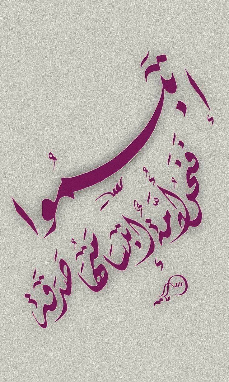 img 20250501 wa0197(4)