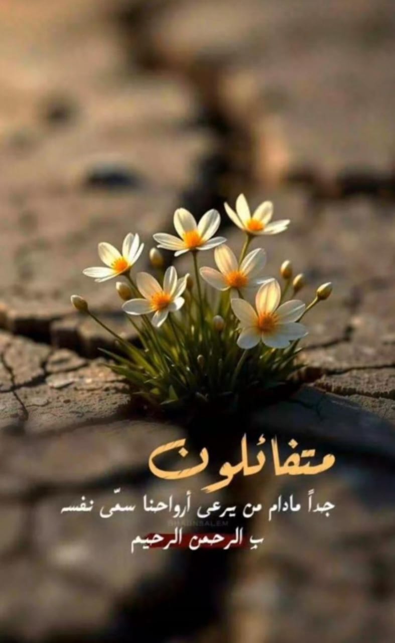 🌿 مُتَفَائِلُون جدًا … مَا دَامَ مَنْ يَرْعَى أَرْوَاحَنَا سَمَّى نَفْسَهُ بِالرَّحْمٰنِ الرَّحِيم 🌿 img 20251115 wa0074