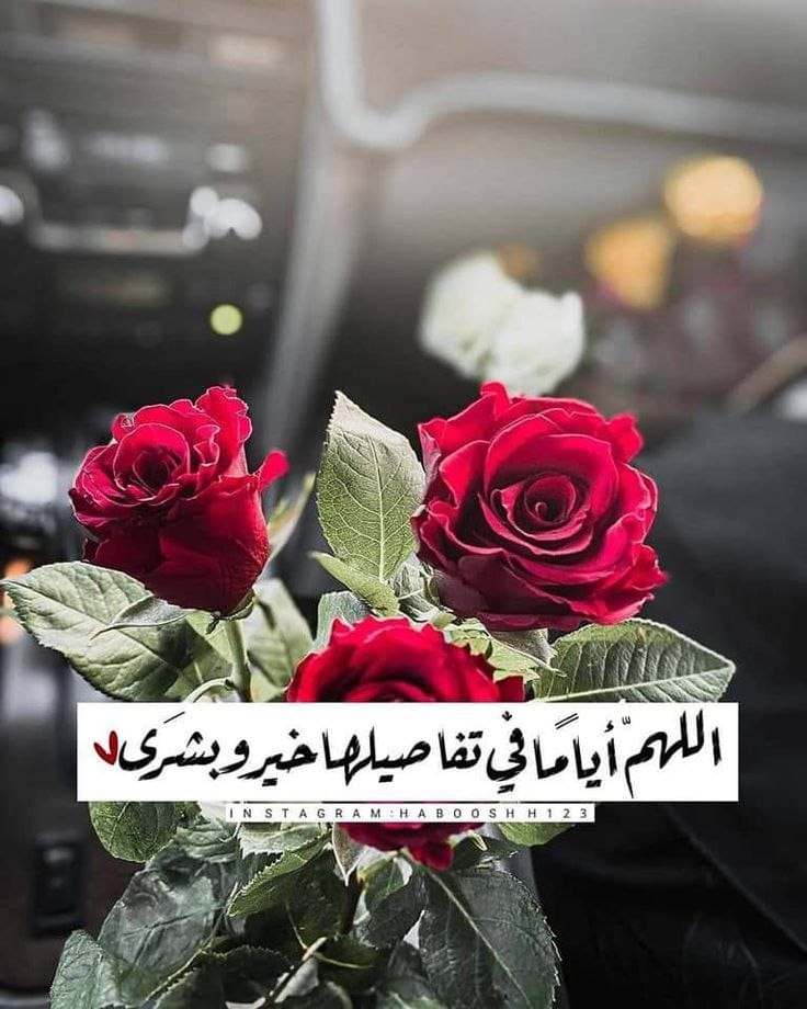 اللهم أيّامًا في تفاصيلها خير وبُشرى 🌿 img 20251117 wa0221