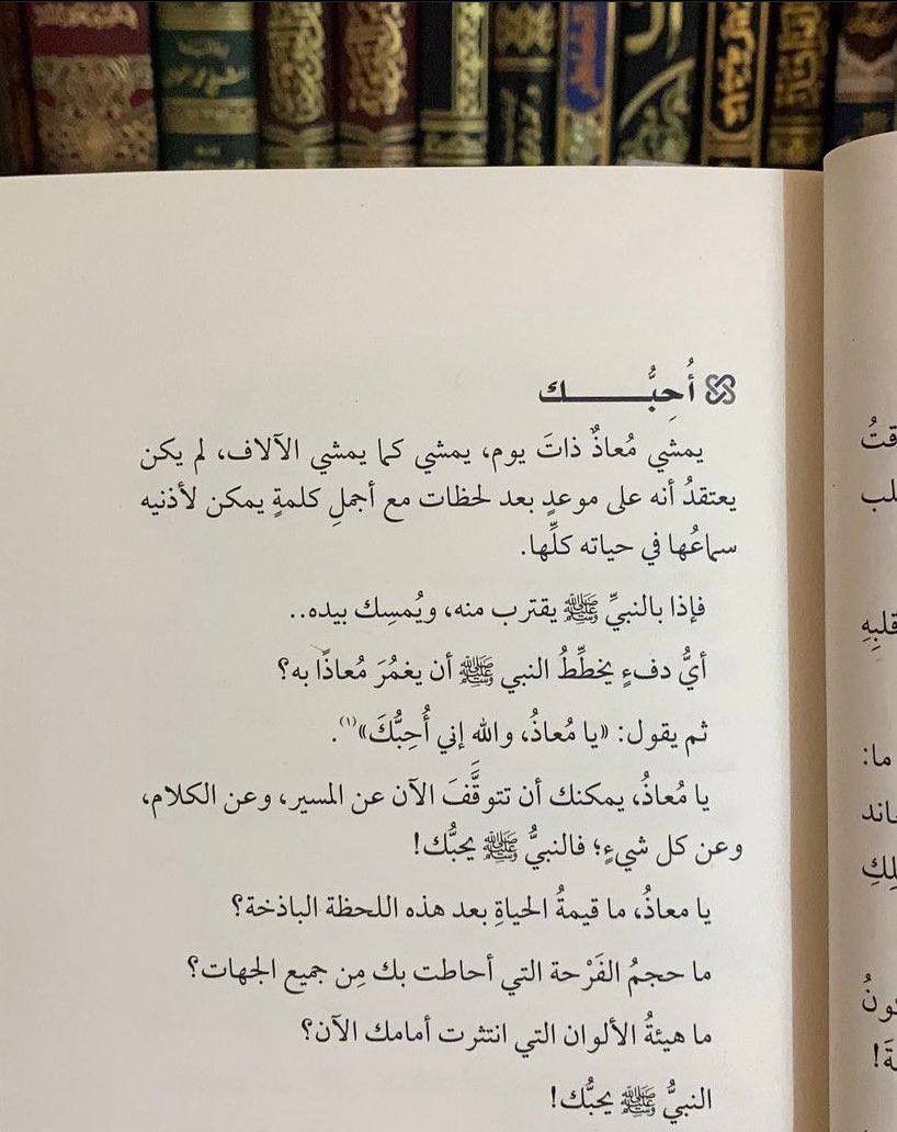 img 20251116 040816 728