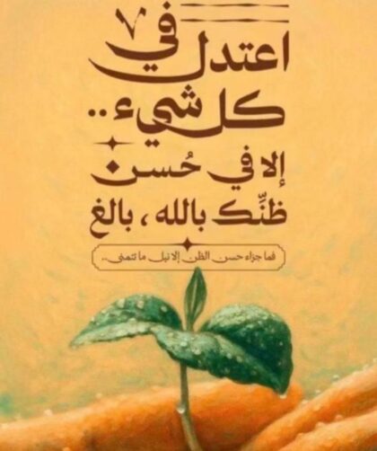 img 20251116 051549 168