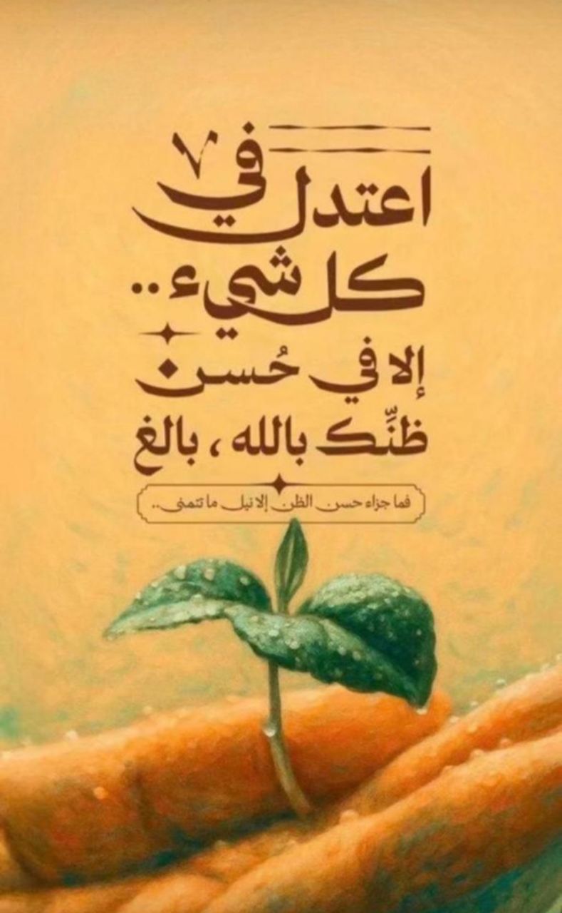 img 20251116 051549 168