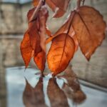 img 20251116 055503 564