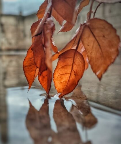 img 20251116 055503 564