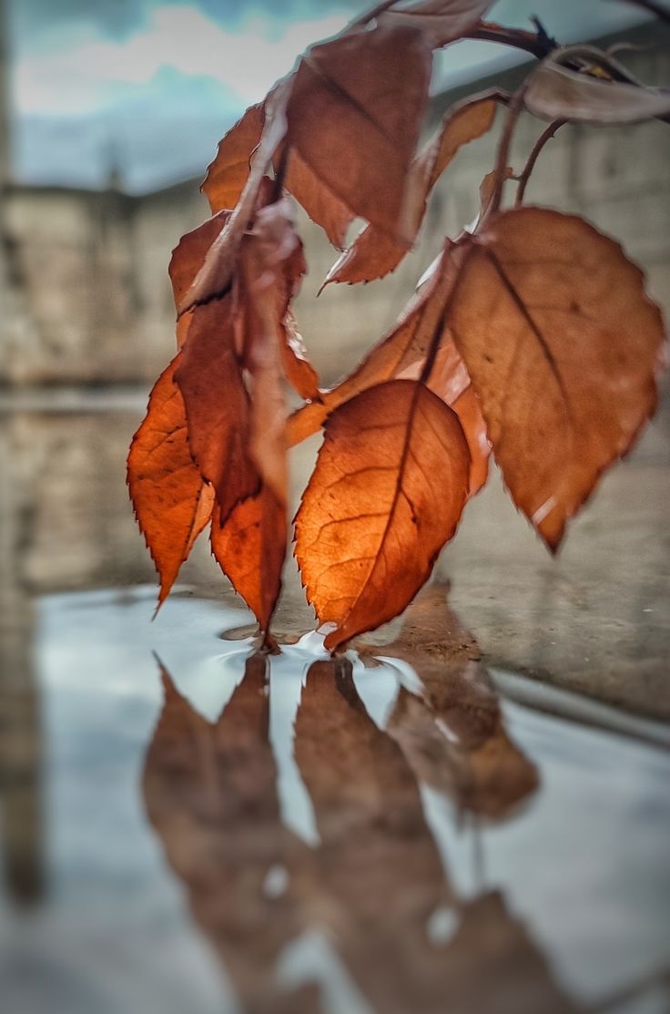 img 20251116 055503 564