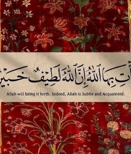 img 20251116 073944 333