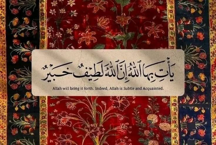 img 20251116 073944 333