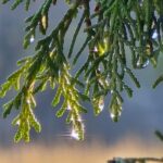 img 20251128 104210 052