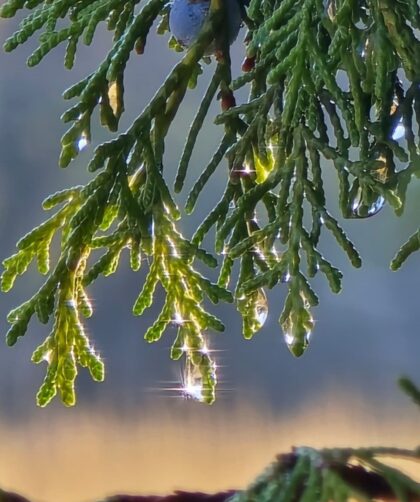 img 20251128 104210 052