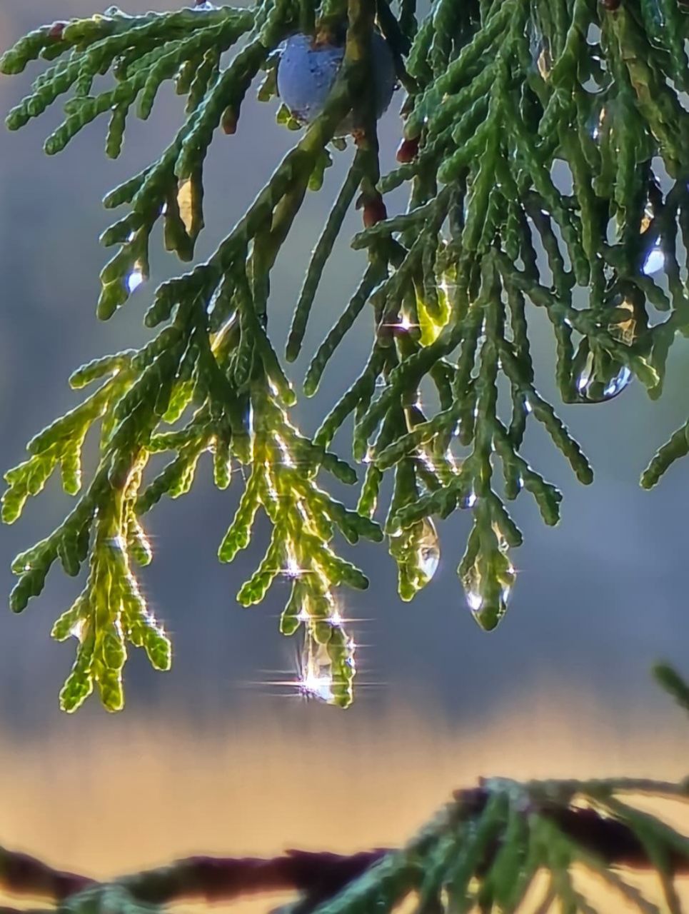 img 20251128 104210 052