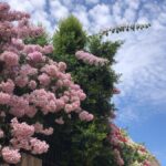 img 20251130 080301 882