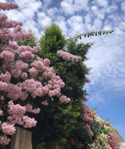 img 20251130 080301 882