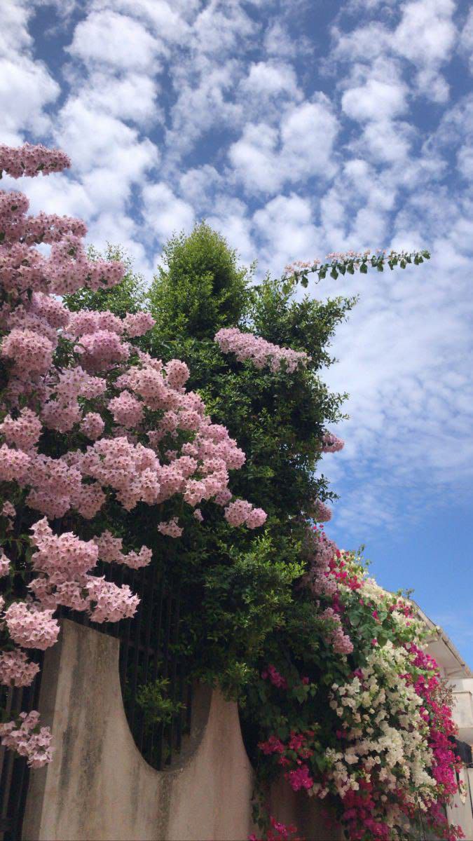 img 20251130 080301 882