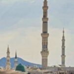 screenshot ٢٠٢٥١١١٦ ٠٣١٨٠٤ whatsapp