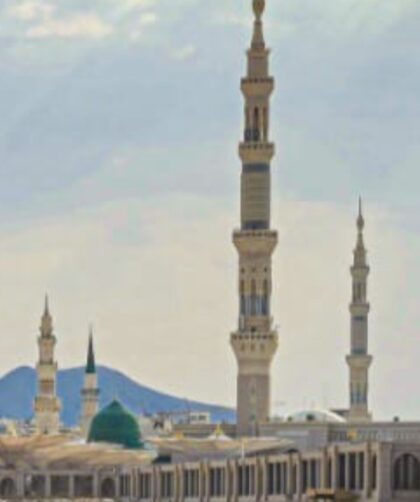 screenshot ٢٠٢٥١١١٦ ٠٣١٨٠٤ whatsapp