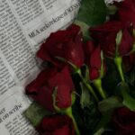 screenshot ٢٠٢٥١١١٦ ٠٥٤٢٣٩ gallery