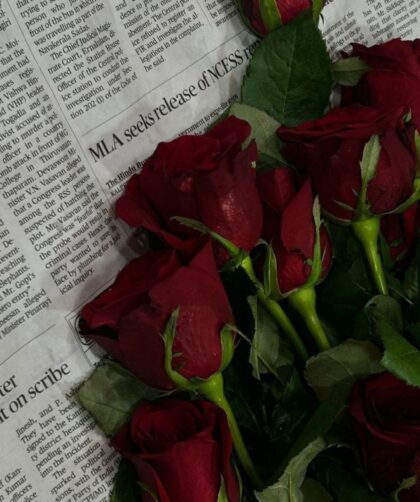 screenshot ٢٠٢٥١١١٦ ٠٥٤٢٣٩ gallery