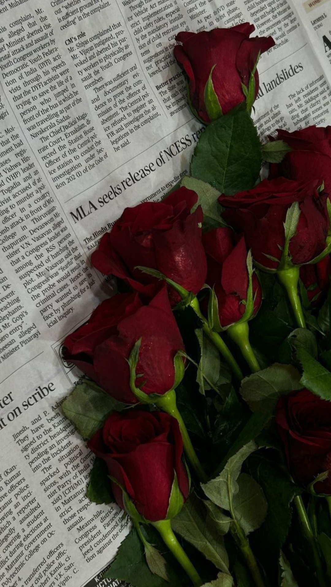 screenshot ٢٠٢٥١١١٦ ٠٥٤٢٣٩ gallery