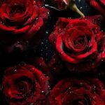 screenshot ٢٠٢٥١١١٦ ٠٦٥٧٣٥ gallery