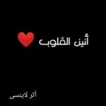 screenshot ٢٠٢٥١١١٨ ٠٧٣٤١٥ google