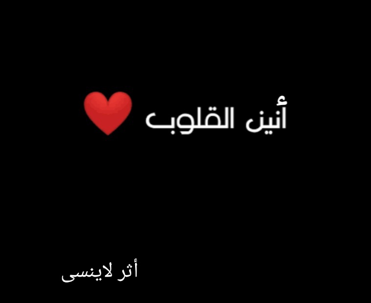 screenshot ٢٠٢٥١١١٨ ٠٧٣٤١٥ google