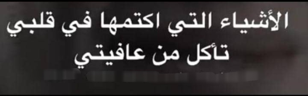 screenshot ٢٠٢٥١١٢٠ ١٩٥٧٤٤ whatsapp