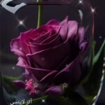 screenshot ٢٠٢٥١١٢٣ ٠٠٢٩١٢ gallery