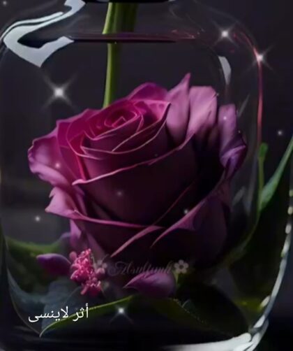 screenshot ٢٠٢٥١١٢٣ ٠٠٢٩١٢ gallery