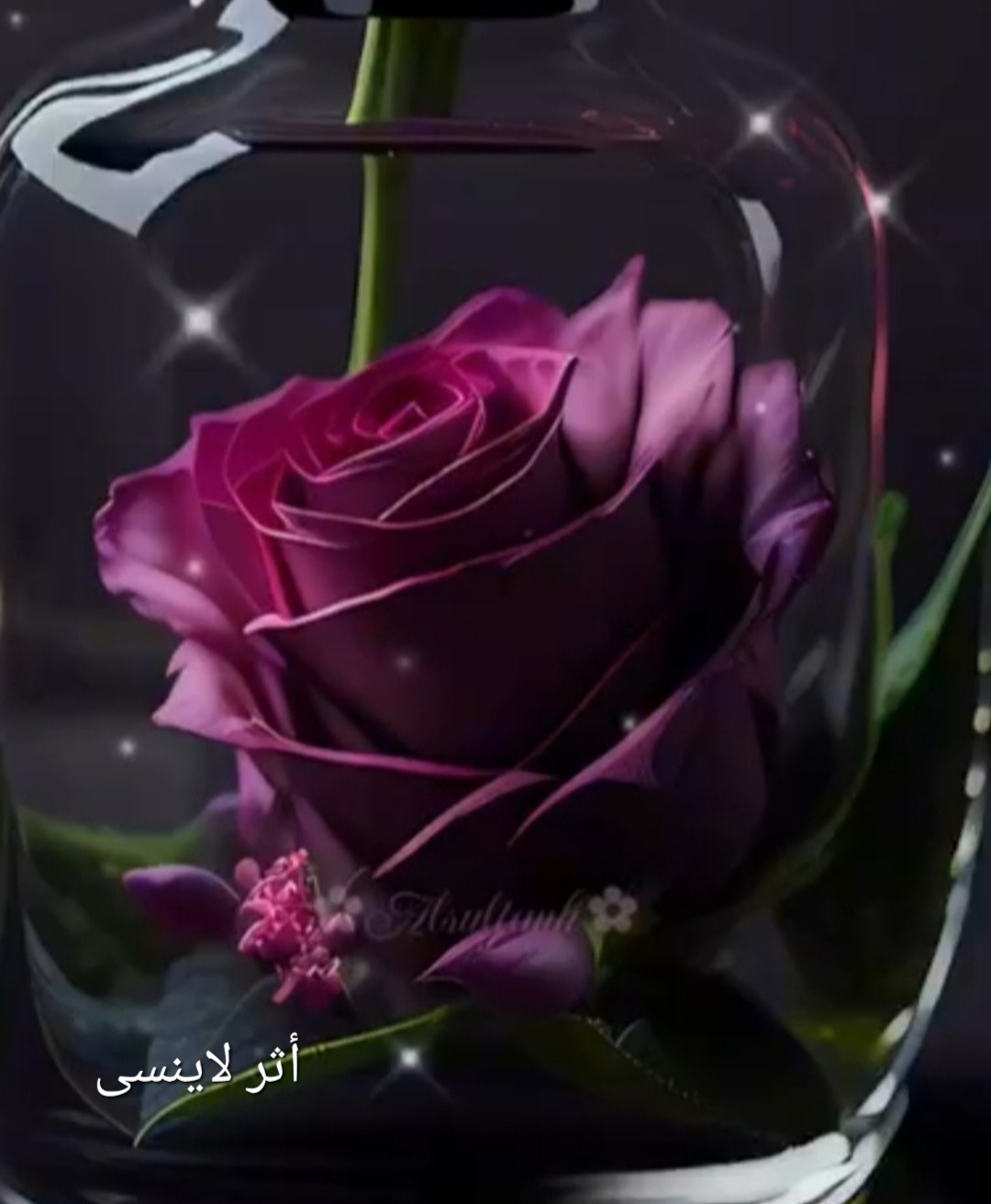 screenshot ٢٠٢٥١١٢٣ ٠٠٢٩١٢ gallery