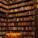 screenshot ٢٠٢٥١١٢٣ ٠٩١٧٥٥ instagram lite