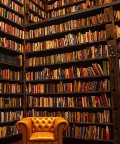 screenshot ٢٠٢٥١١٢٣ ٠٩١٧٥٥ instagram lite