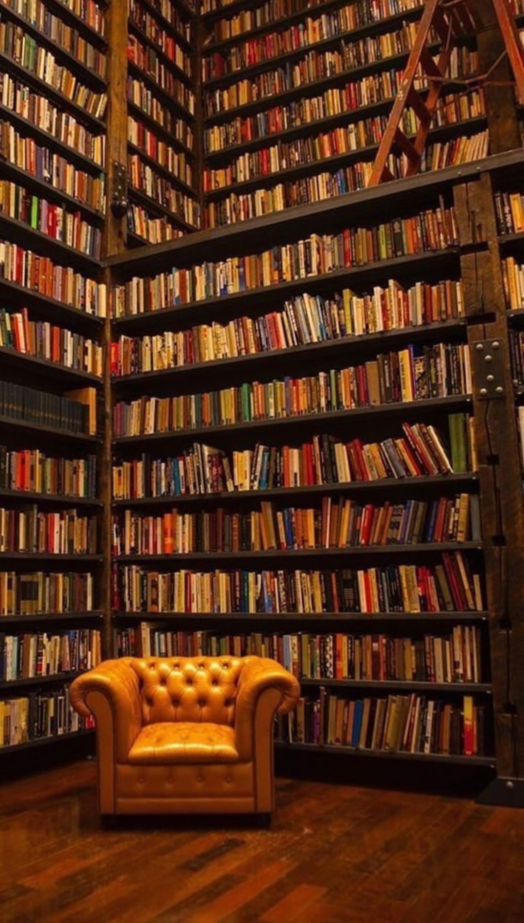 screenshot ٢٠٢٥١١٢٣ ٠٩١٧٥٥ instagram lite