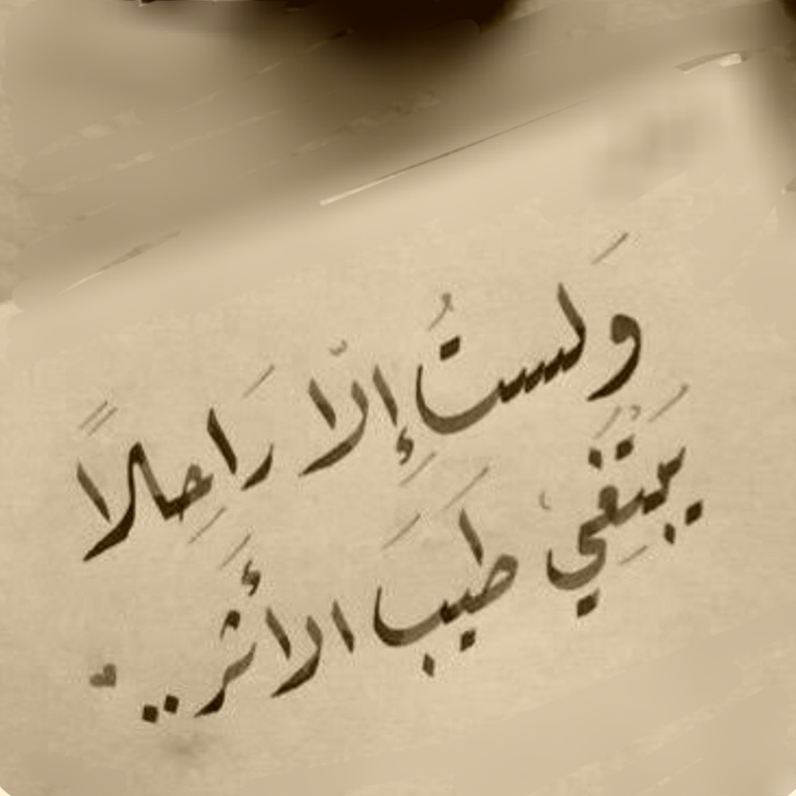 screenshot٢٠٢٥١١١٥٠٧١٦٤٦google