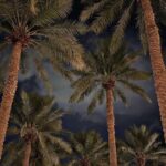 screenshot٢٠٢٥١١١٥٠٧٢١٥٦gallery