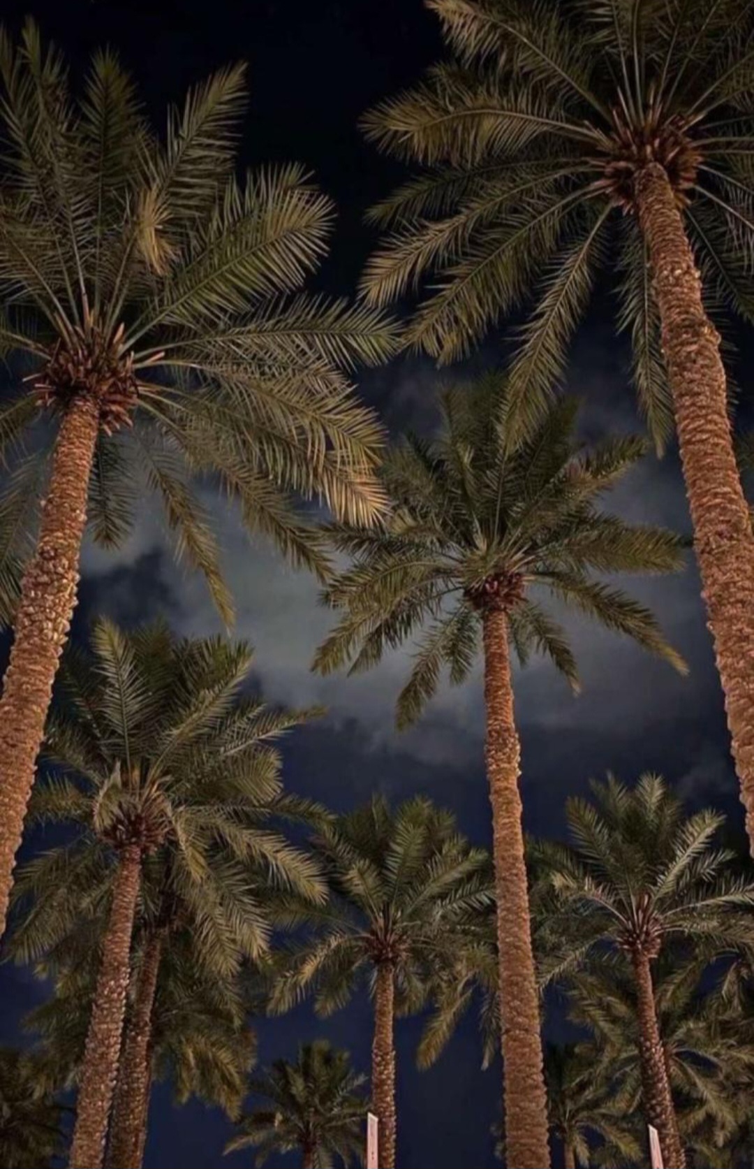 screenshot٢٠٢٥١١١٥٠٧٢١٥٦gallery