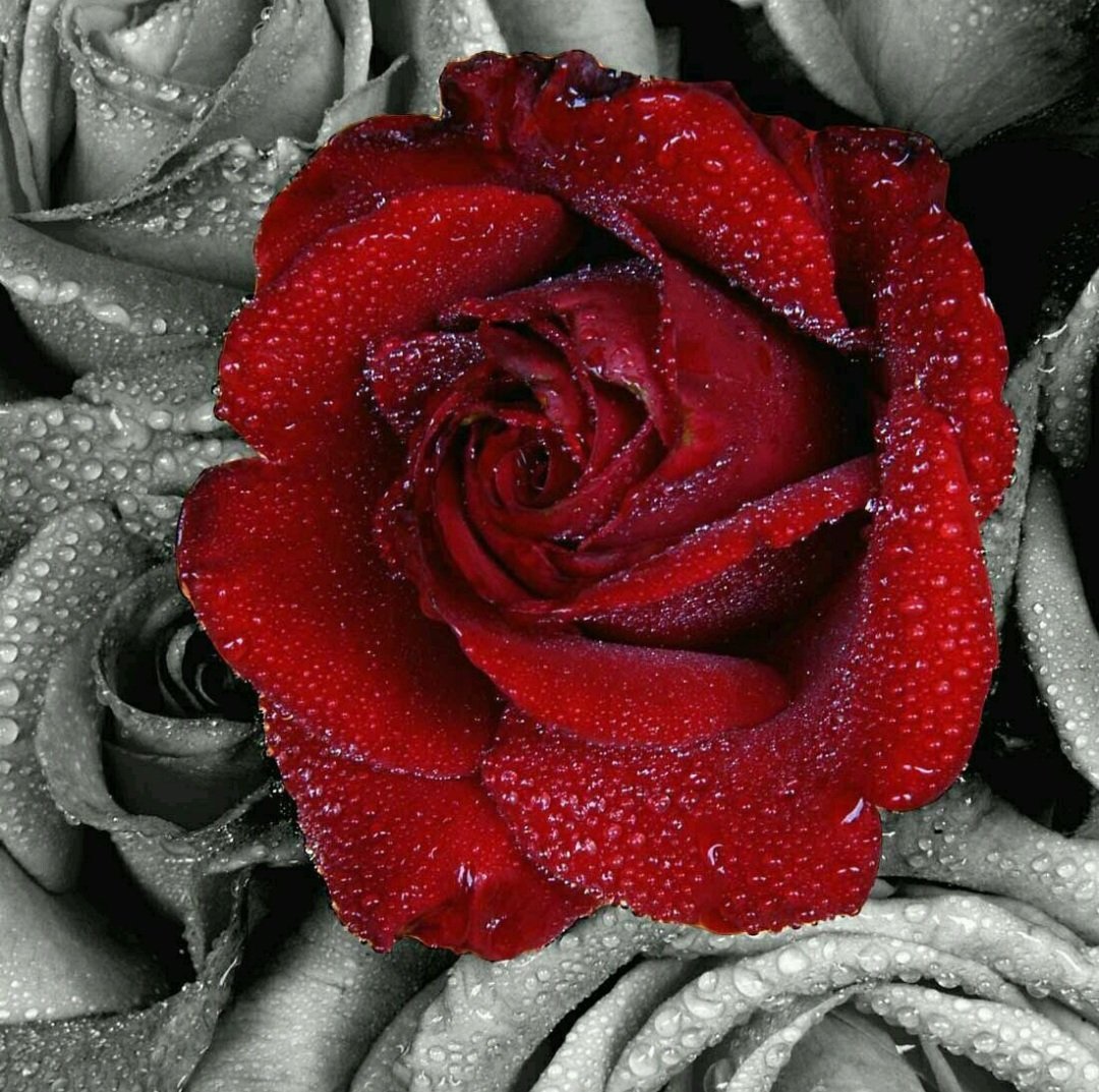 ٢٠٢٥١١١٧ ٠٣٢٧٢١