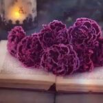 img 20251211 231425 708