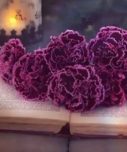 img 20251211 231425 708