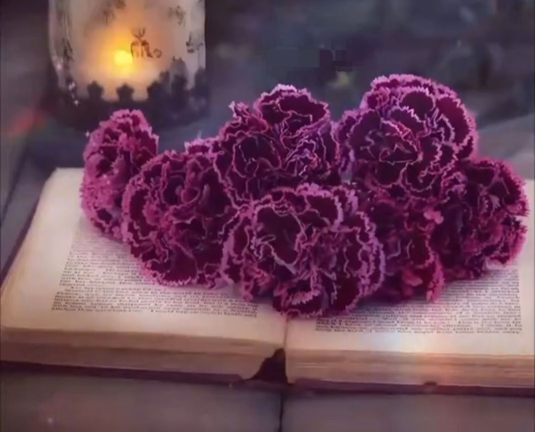 img 20251211 231425 708