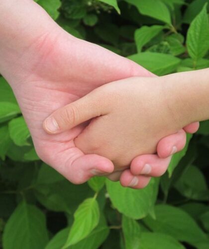 img 20260130 081036 166