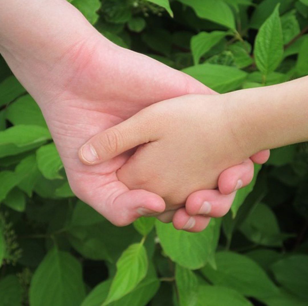 img 20260130 081036 166