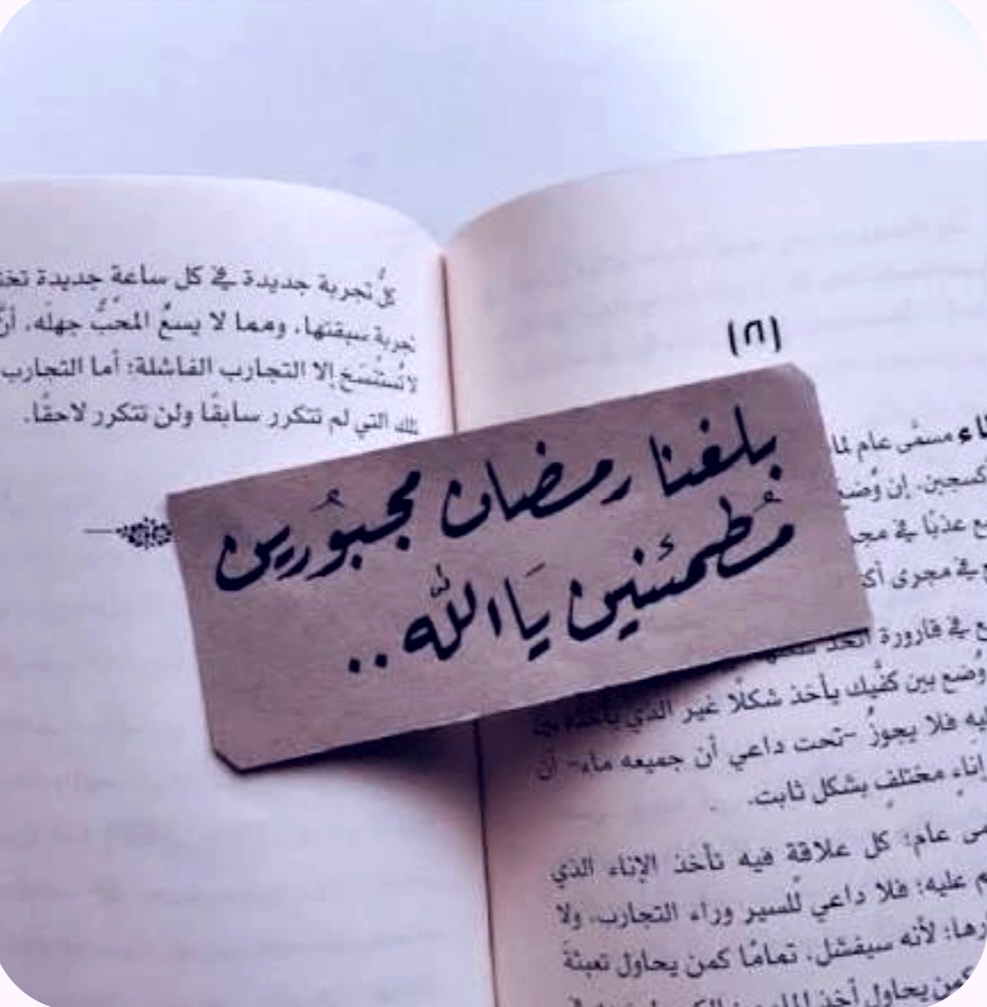 screenshot ٢٠٢٦٠٢٠٣ ٠٩١٢٥٢ google