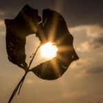 screenshot ٢٠٢٦٠٢٠٨ ٠٨٥٩٠١ google