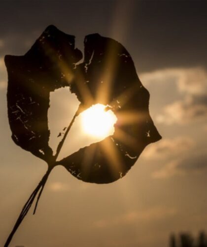 screenshot ٢٠٢٦٠٢٠٨ ٠٨٥٩٠١ google