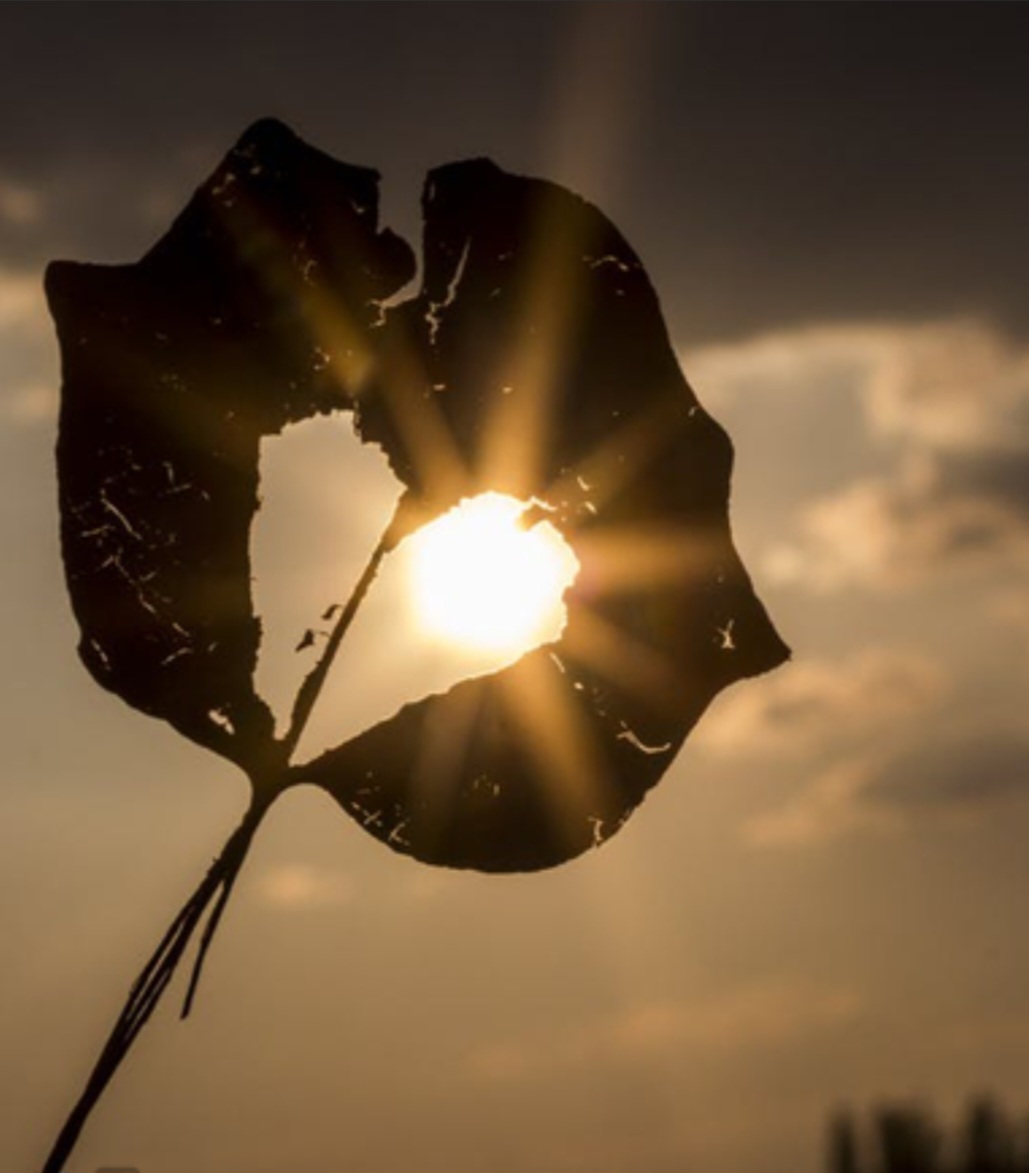 screenshot ٢٠٢٦٠٢٠٨ ٠٨٥٩٠١ google