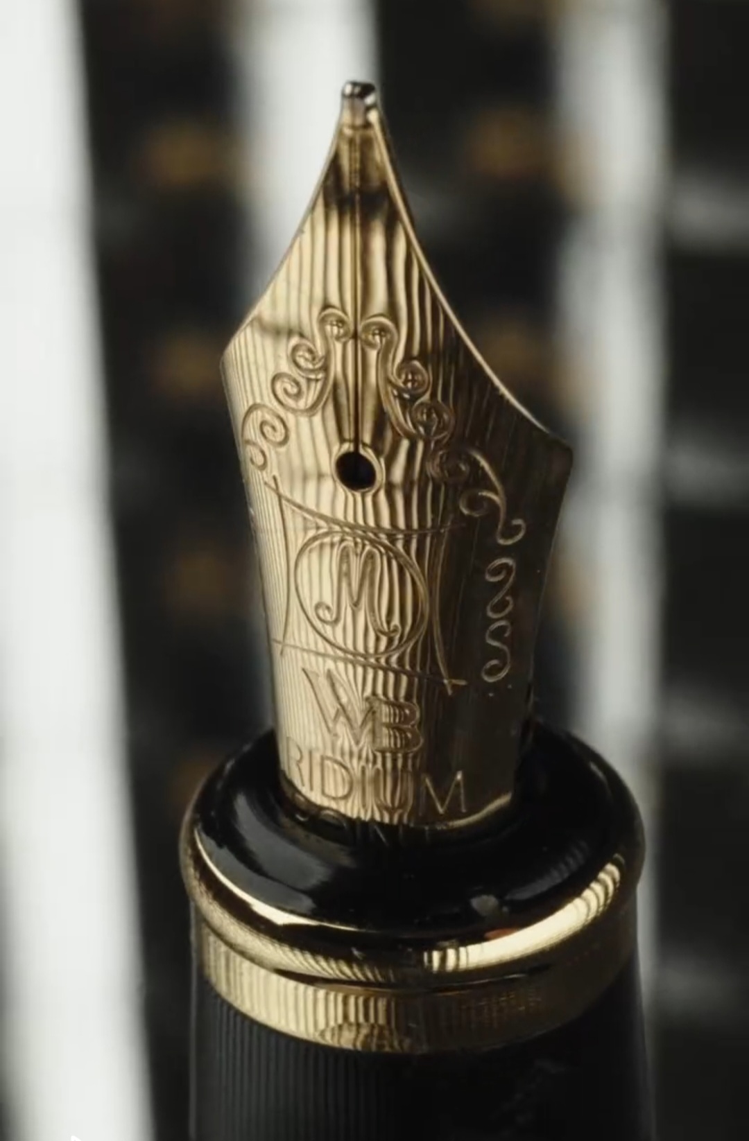 screenshot ٢٠٢٦٠٢١٣ ٠٨٢٢٢٧ chrome