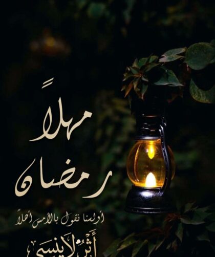 screenshot ٢٠٢٦٠٣١٣ ٠٧٠٦٢١ gallery