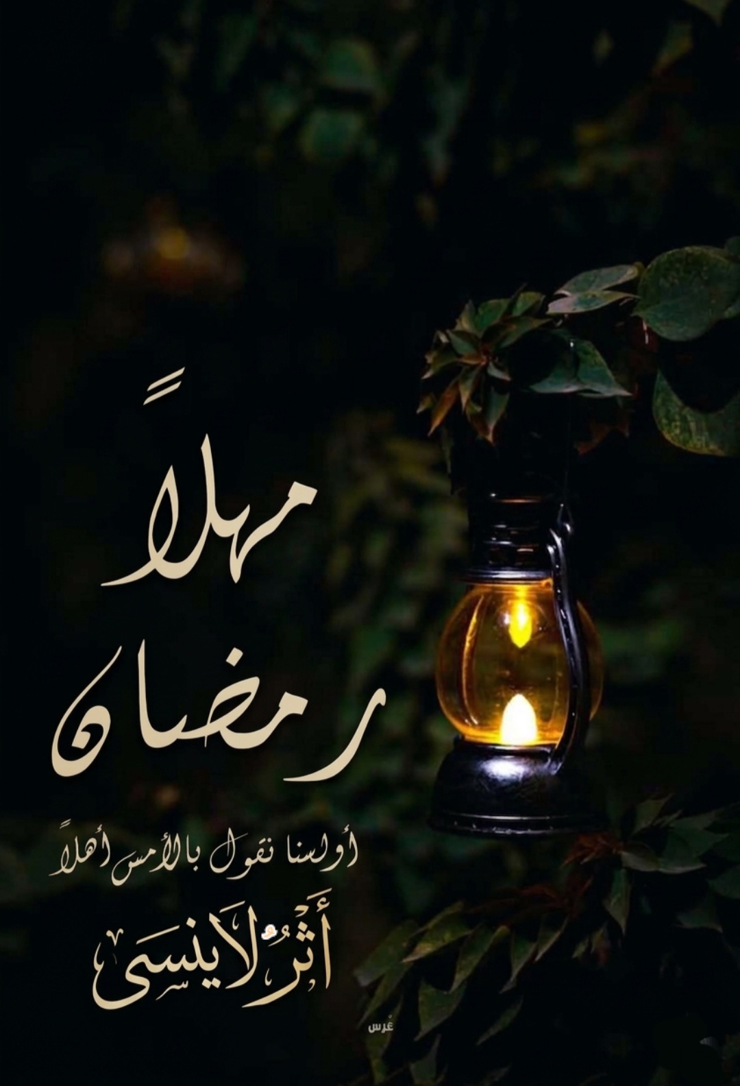 مهلاً رمضان 🌙 ألسنا نقول بالأمس أهلاً ؟ screenshot ٢٠٢٦٠٣١٣ ٠٧٠٦٢١ gallery