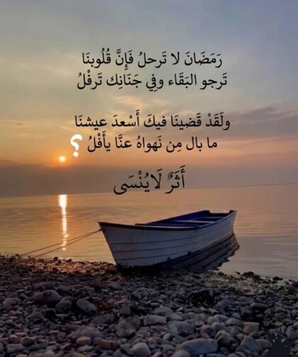 screenshot ٢٠٢٦٠٣٢٠ ٠١٤٣٤٨ gallery